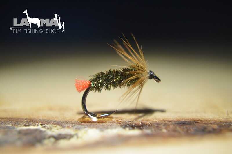 Ambasador Radim Kapica