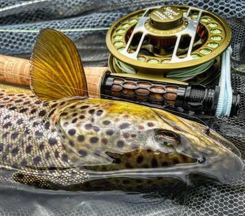 Muškařské pruty Hanák Competition – Volba vítězů