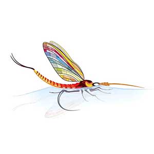Tommi-fly Nuclear Irritant Point Tricolor
