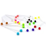 Oči na krevety a korýše