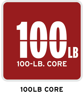 100 Core