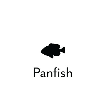 Panfish