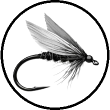 Muškařské háčky Tiemco 113BLH vel. 20, 20ks - energetický štítek