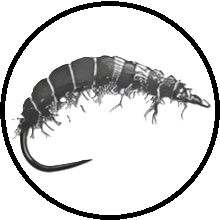 Muškařské háčky Demmon G600 BL - energetický štítek