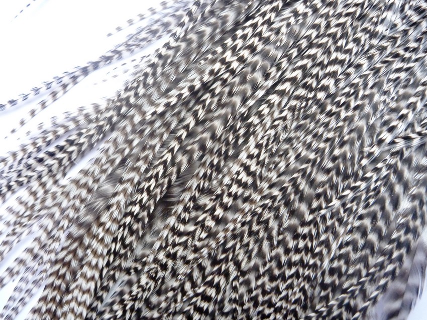 Kohoutí sedlový skalp Keough Grizzly Saddle Grade #2