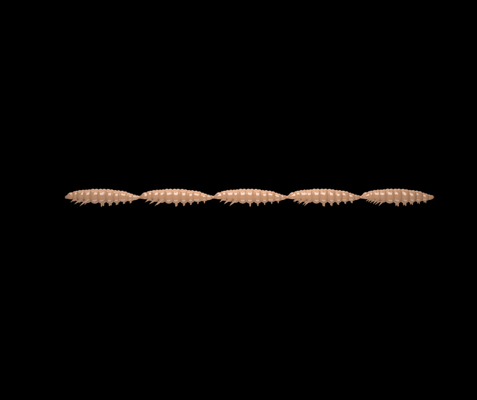 Libra Lures LARVA MULTI 5x25mm Pellet 035 (Cheese)