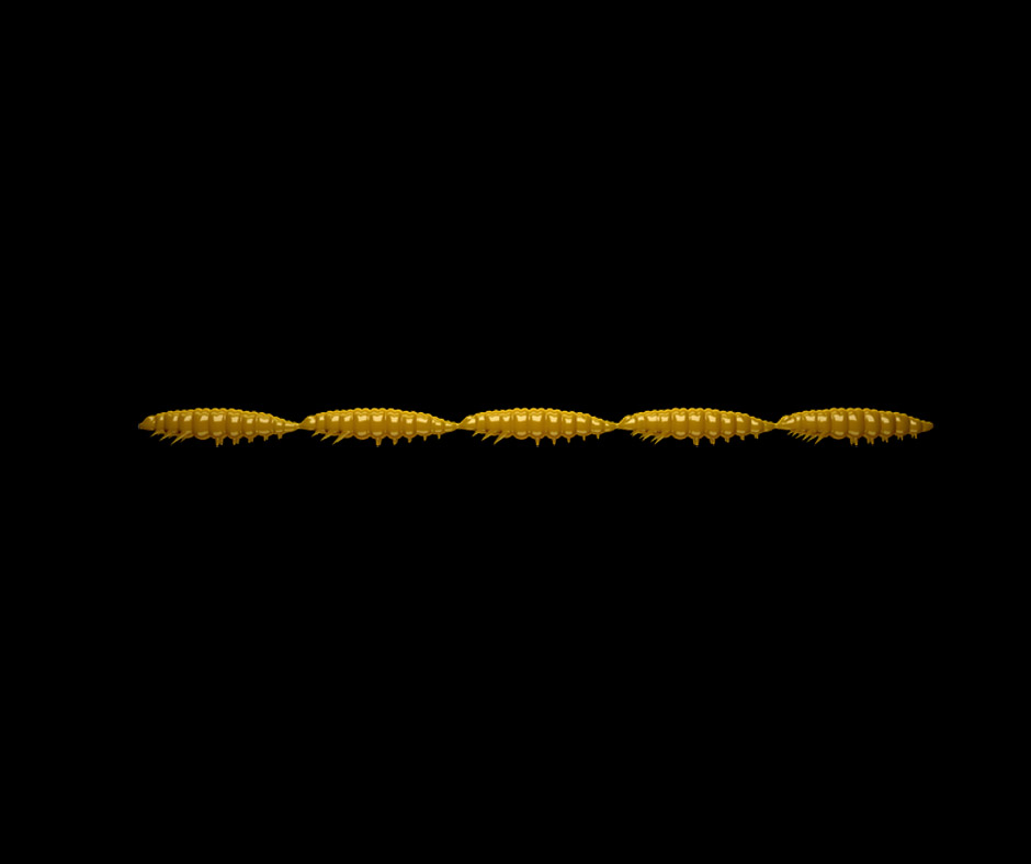 Libra Lures LARVA MULTI 5x25mm Coffee Milk 036 (Cheese)