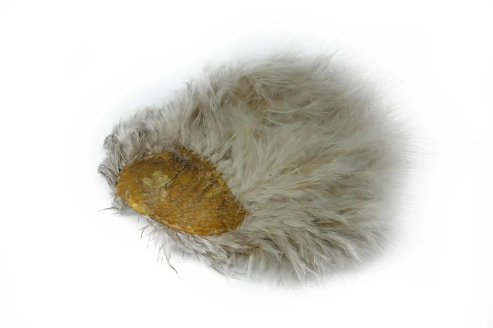Whiting Super 'Bou White dyed Tan
