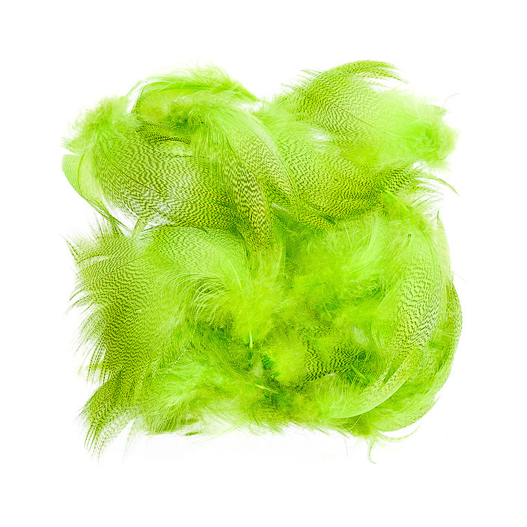 Mallard Barred Feathers Chartreuse