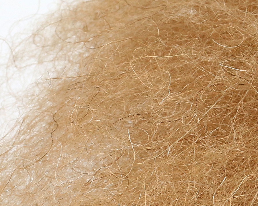 Camel Dubbing Natural