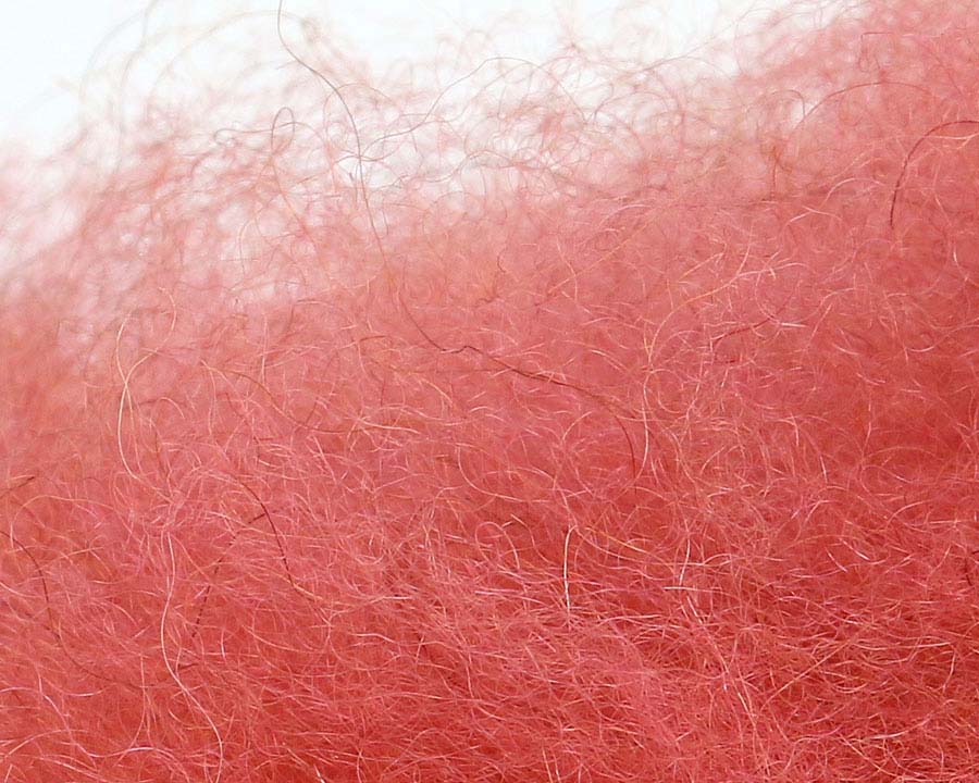 Camel Dubbing Old Pink