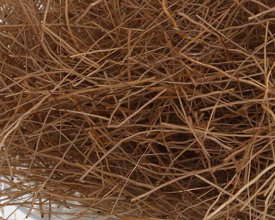 Sybai Deer Dubbing Light Brown 