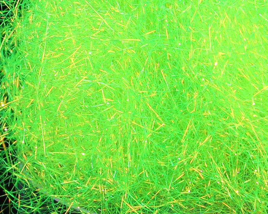Sybai Electric Flash Dubbing Pearl Fluo Chartreuse