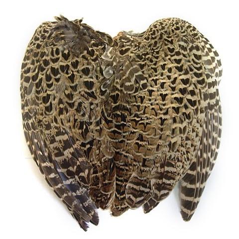 Křídla bažantí slepice Veniard