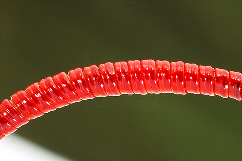 Troutline UV Ribbing Fibers Hot Orange