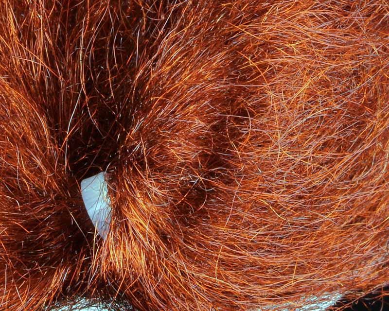 Sybai Fine Trilobal Wing Hair Rusty Brown