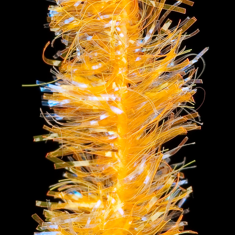 Hends Ice Chenille Fluo Orange