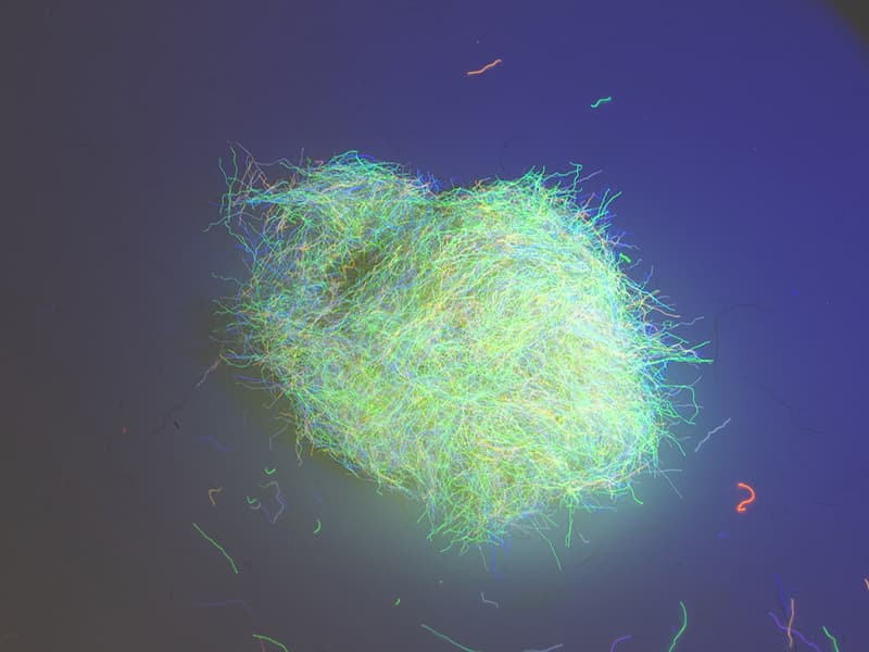 Tommi-fly Nuclear Nymph Dubbing Dark Sandy Yellow