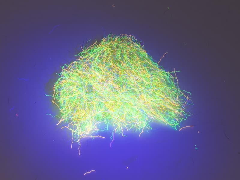 Tommi-fly Nuclear Nymph Dubbing Golden Olive