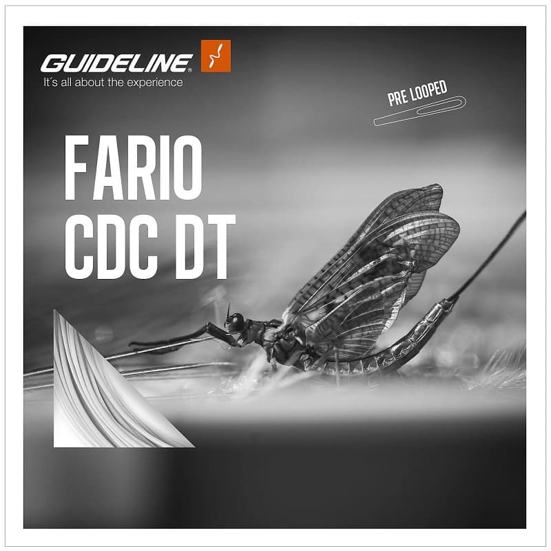Muškařská šňůra Guideline Fario CDC DT