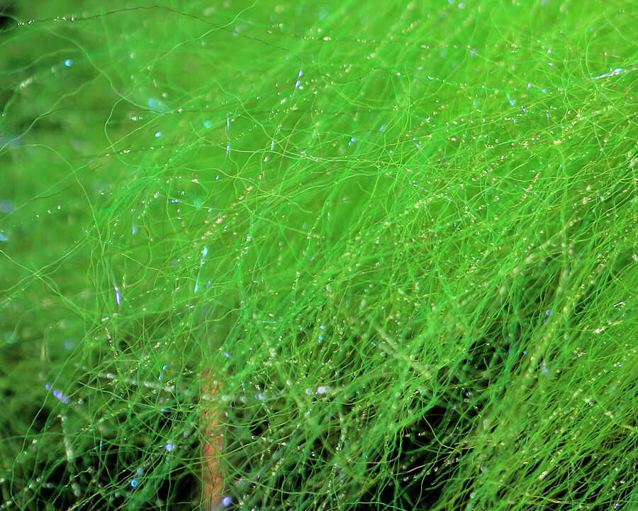 Sybai Flash Pike Dubbing Green UVR / 20
