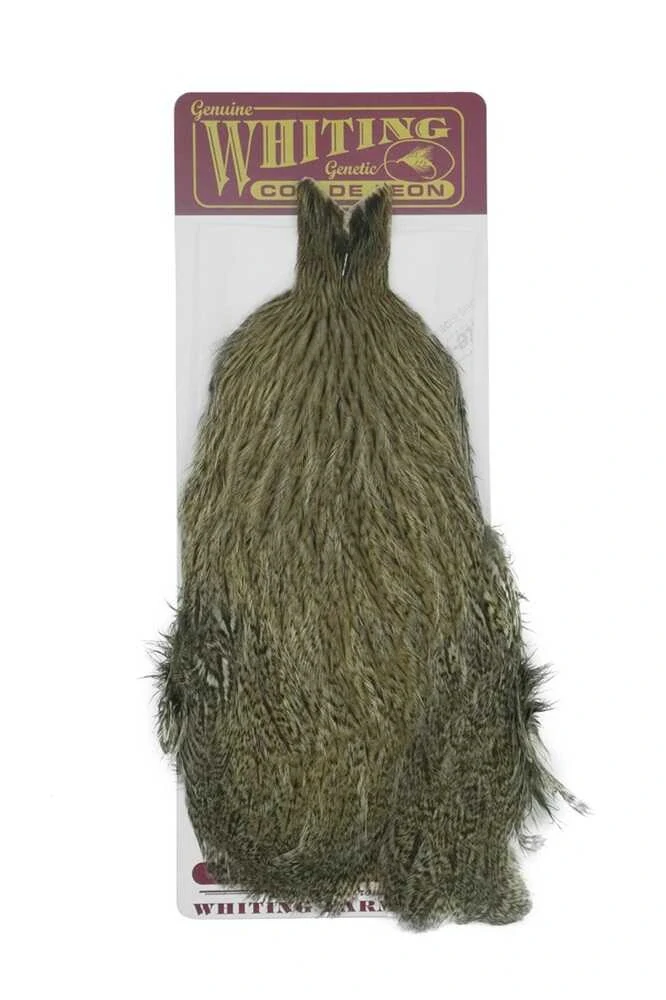Whiting Coq de Leon Hen Cape Brown Speckled