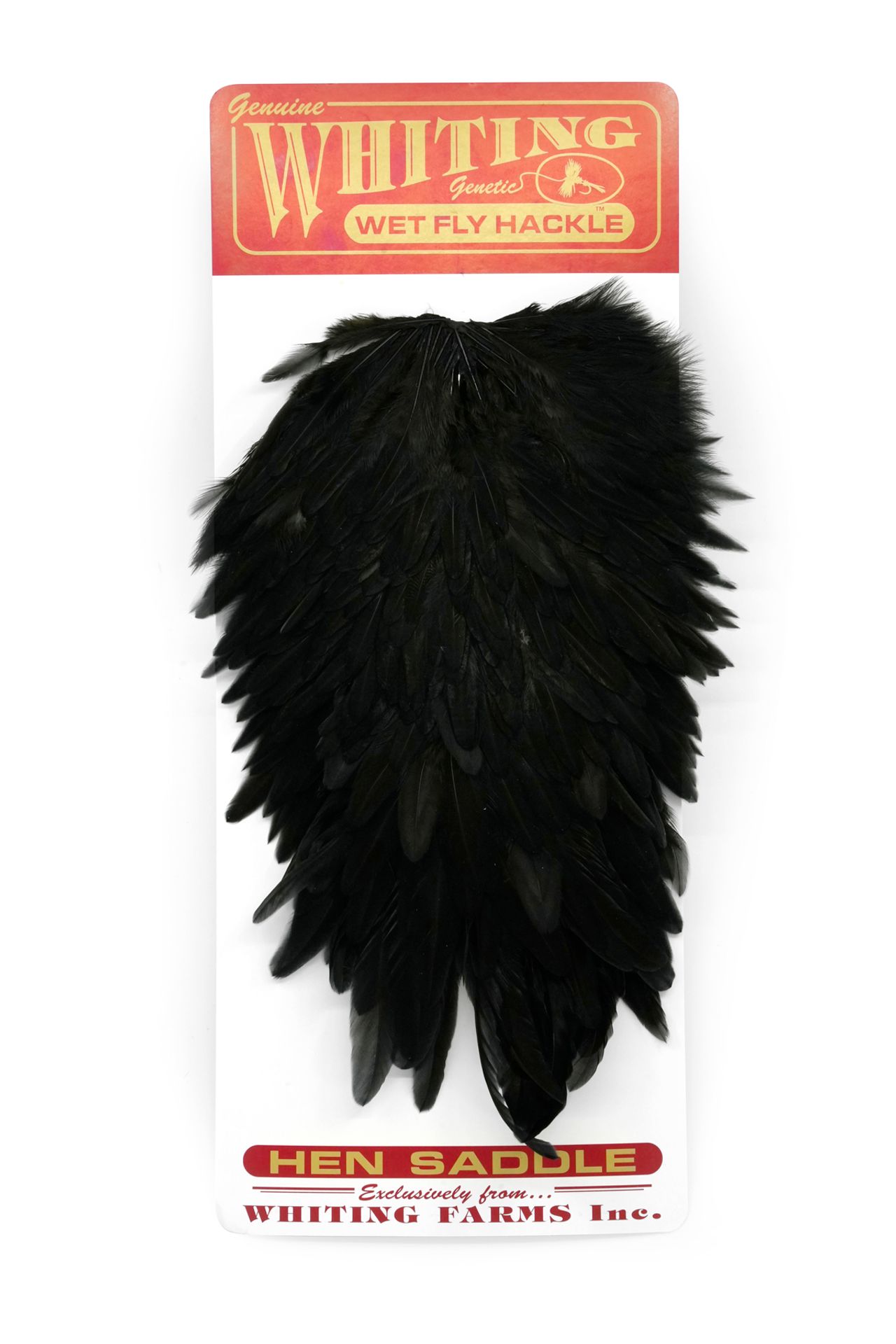 Sedlový skalp slepice Whiting Hen Saddle Black