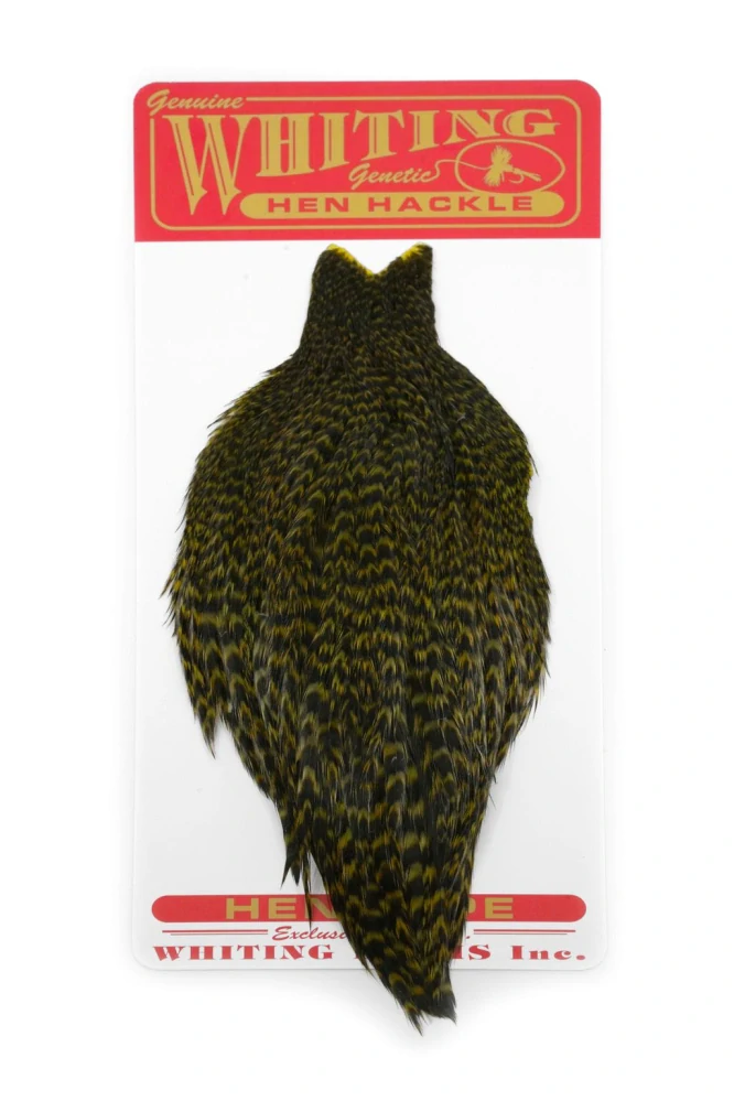 Hlavový skalp slepice Whiting Hen Cape Grizzly dyed Olive