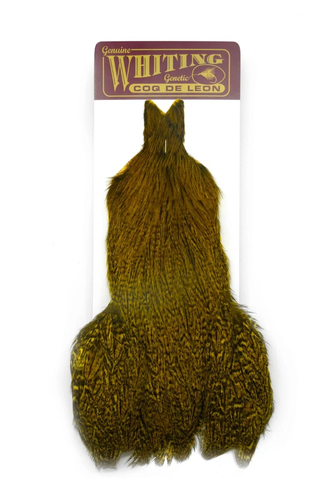 Whiting Coq de Leon Hen Cape Speckled dyed Golden Olive