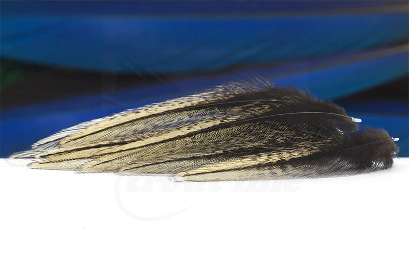 Peří Gallo Leon Pardo Neck Hackle