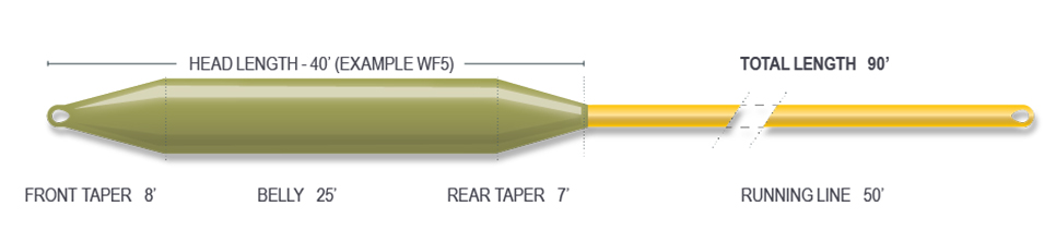 Muškařská šňůra Airflo Forge Floating WF AFTMA 6