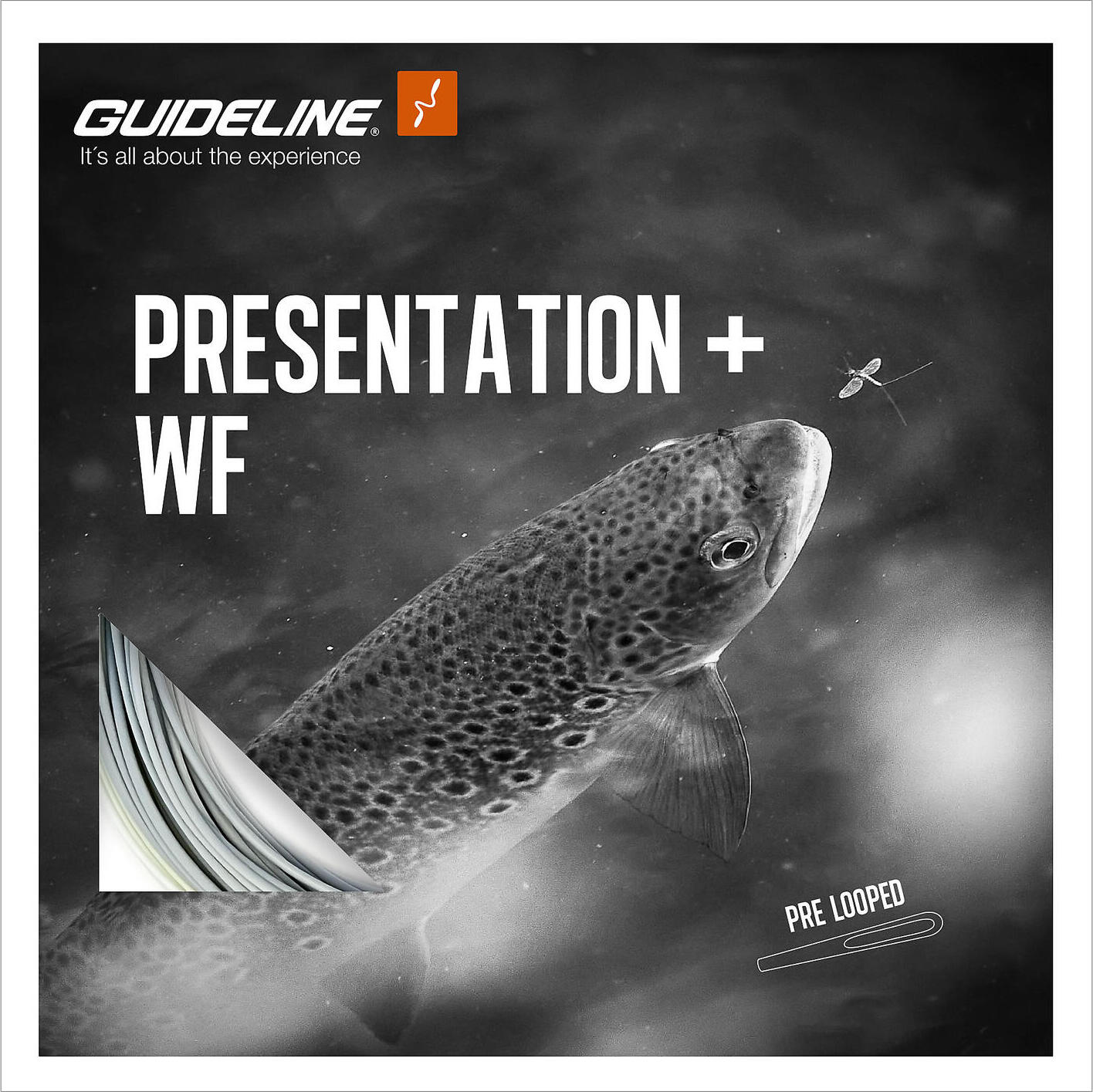 Muškařská šňůra Guideline Presentation+ WF