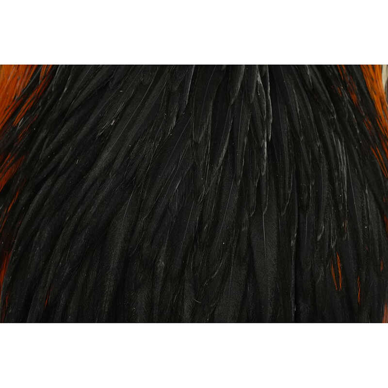 Hlavový skalp slepice Whiting Hebert Hen Cape Black