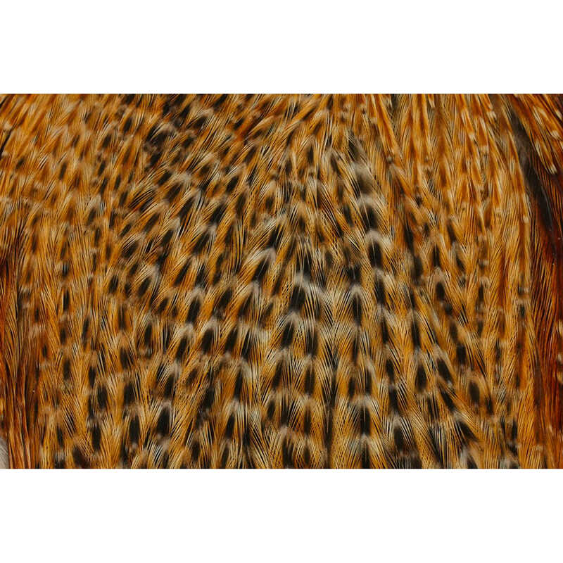 Hlavový skalp slepice Whiting Hebert Hen Cape Barred Dark Ginger