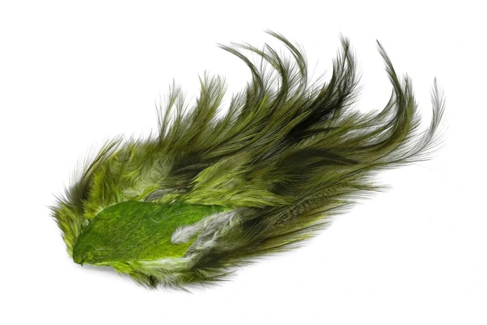 Whiting CDL Euro Nymph Tailing Pack Pardo dyed Olive