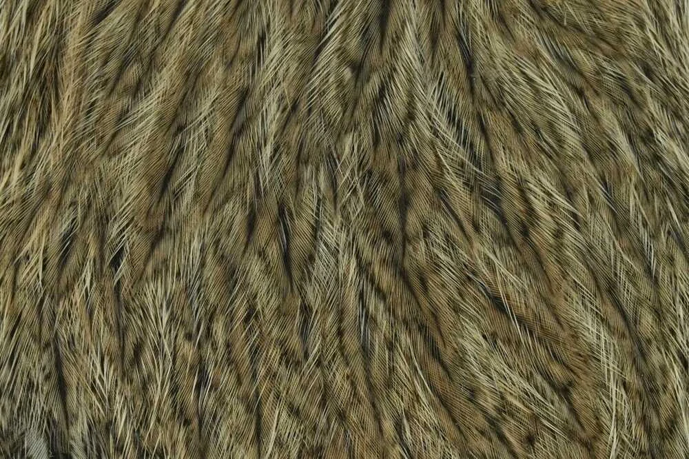 Whiting Coq de Leon Hen Cape Brown Speckled