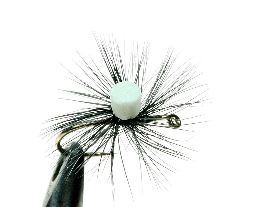 Foam Cylinders Black 6mm