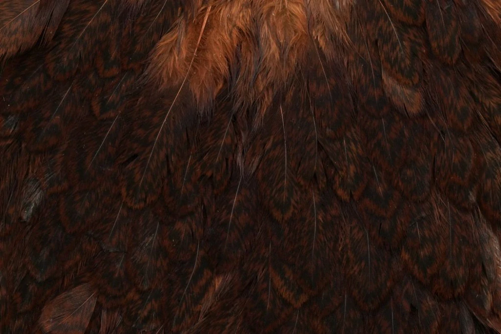Sedlový skalp slepice Whiting Brahma Hen Saddle Mottled Grey dyed Natural Brown