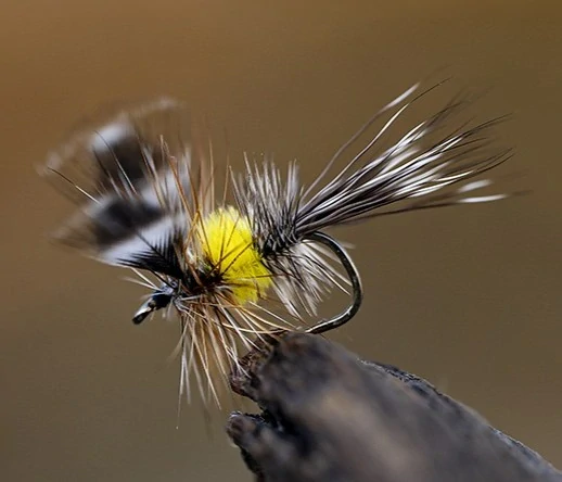 Muškařské háčky Ahrex LE810 North Country Spider