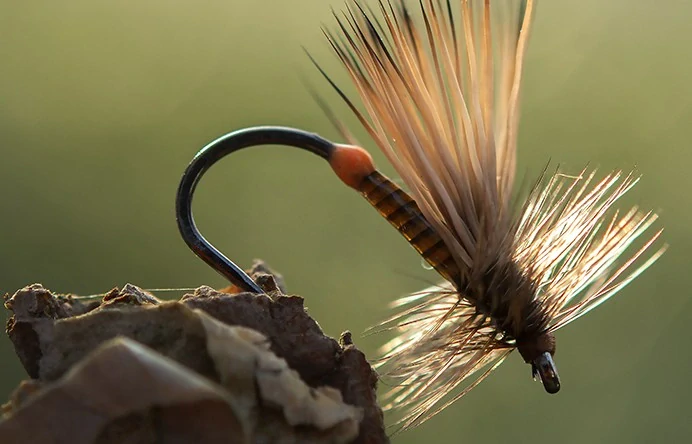 Muškařské háčky Ahrex FW503 Dry Fly Light vel. 20