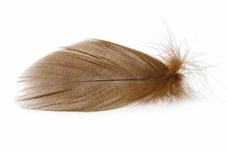 Troutline Premium Mallard Barred Feathers Bronze