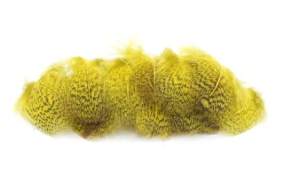 Troutline English Grey Partridge Dyed Yellow