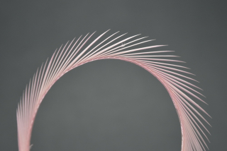 Husí Biots Goose Biot Strips Champagne