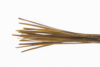 Troutline Hand Selected Stripped Peacock Quill Golden Olive