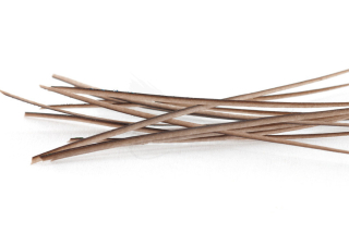 Troutline Hand Selected Stripped Peacock Quill Natural