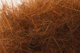 Mad Rabbit Dubbing Rust