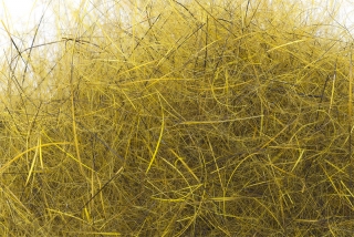 Mad Rabbit Dubbing Yellow