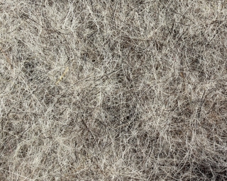 Nymph Dubbing Light Gray