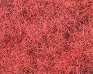 Nymph Dubbing Old Pink