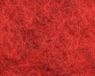 Nymph Dubbing Red